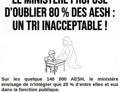 Face au projet de tri des AESH et de destruction de l&rsquo;école inclusive : l&rsquo;heure est à la mobilisation générale