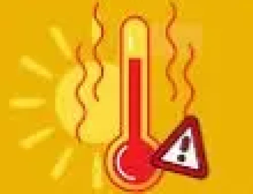 Alerte canicule – Courrier au préfet du Val d&rsquo;Oise  – demande de mesures de protection – juin 2026